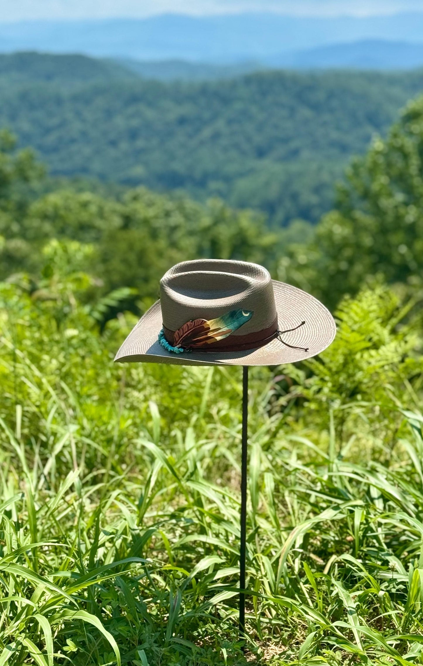 Moonlight Cactus Hat Feather