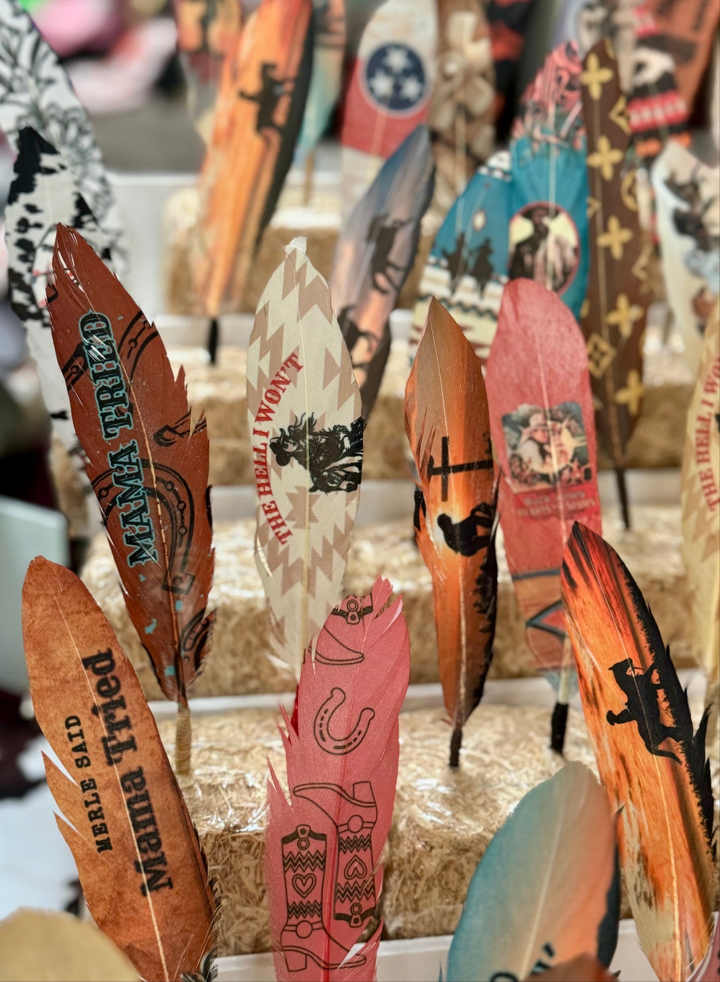 Decorative feathers with various designs and text on a blurred background