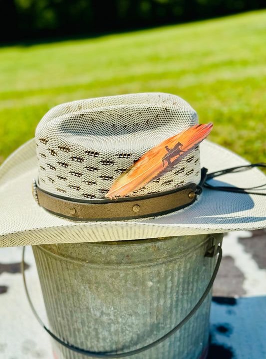 Cowboy hat with feather and bandanna on a metal bucket against a grassy background