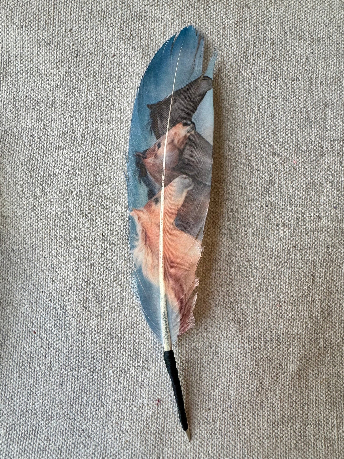 Blue Wild Horses Hat Feather