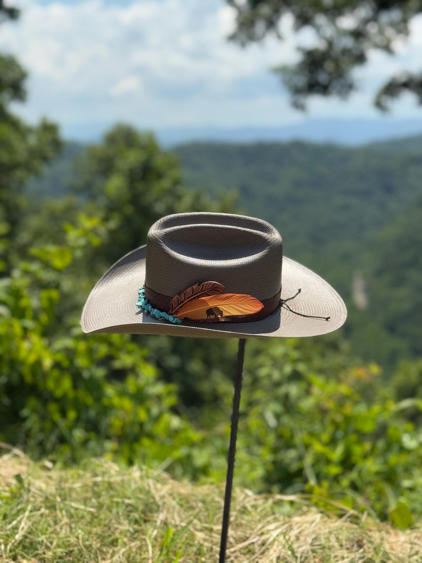 Buffalo Sunset Hat Feather