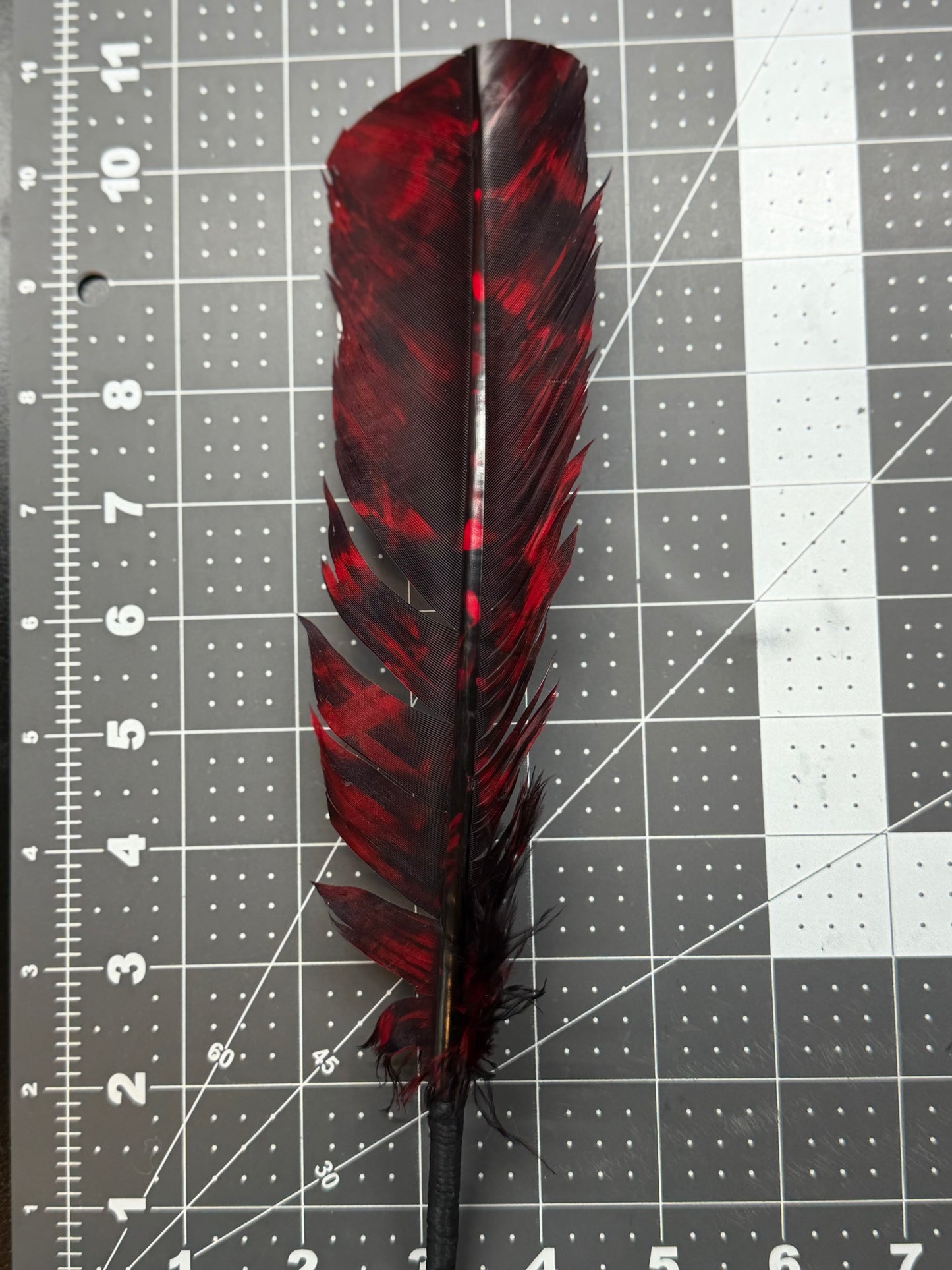 A single dark red and black feather placed vertically on a gray cutting mat with measurement markings.