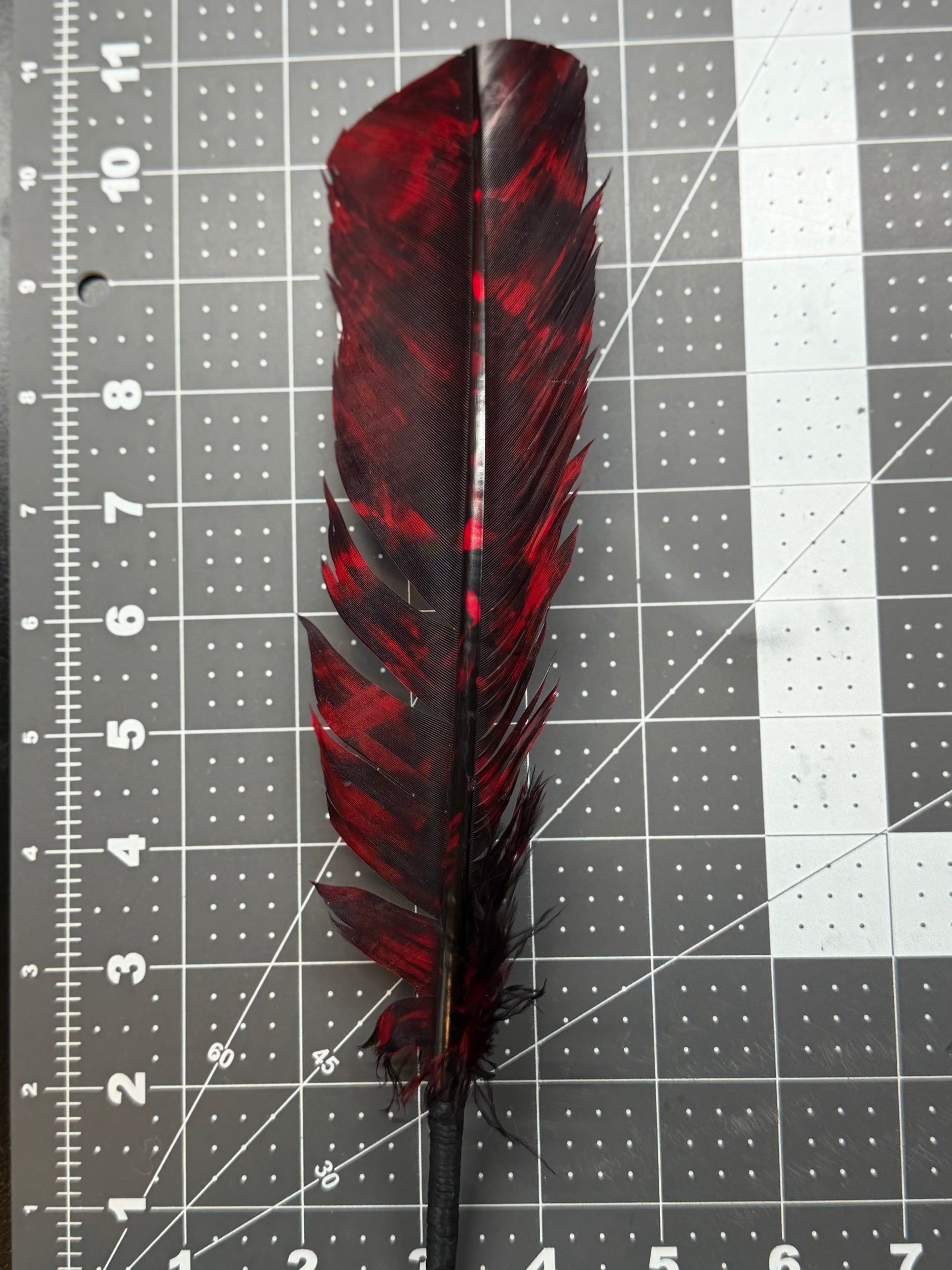 A single dark red and black feather placed vertically on a gray cutting mat with measurement markings.