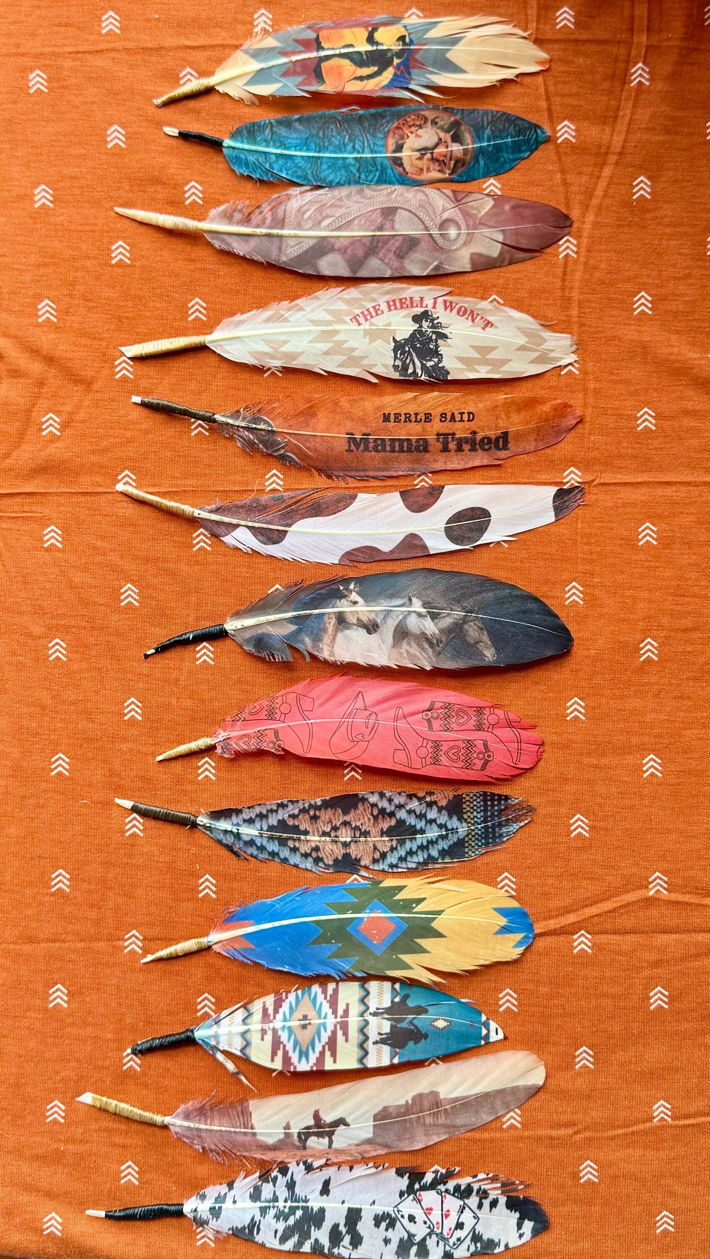 Cowboy Romance Hat Feather