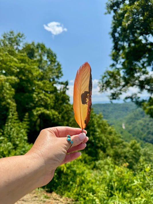 Buffalo Sunset Hat Feather