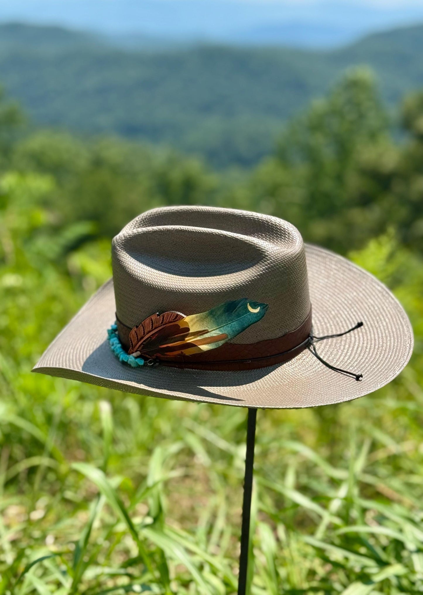 Moonlight Cactus Hat Feather