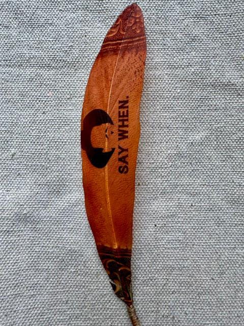 Say When Western Hat Feather