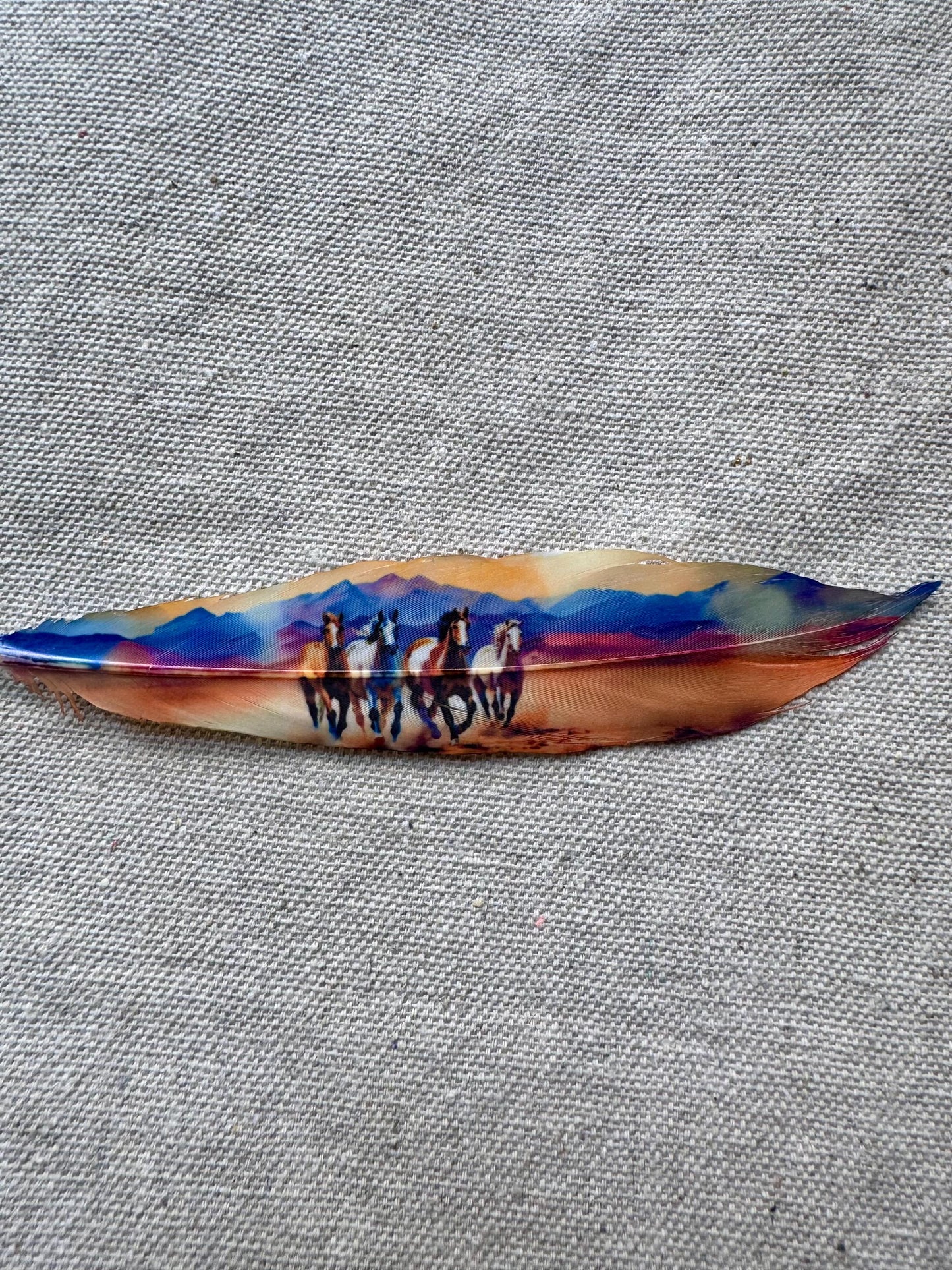 Watercolor Horses Hat Feather