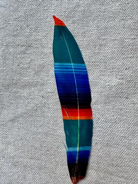 Serape Print Western Hat Feather