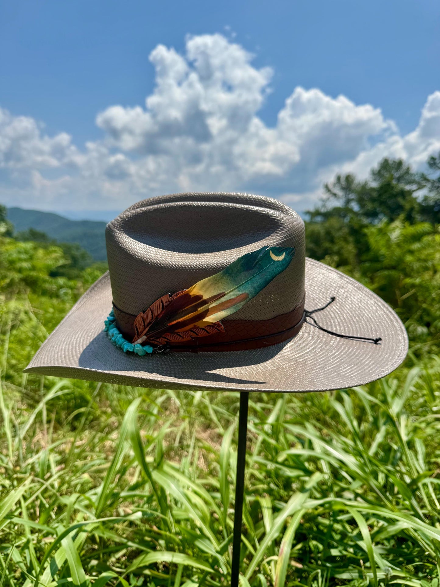 Moonlight Cactus Hat Feather