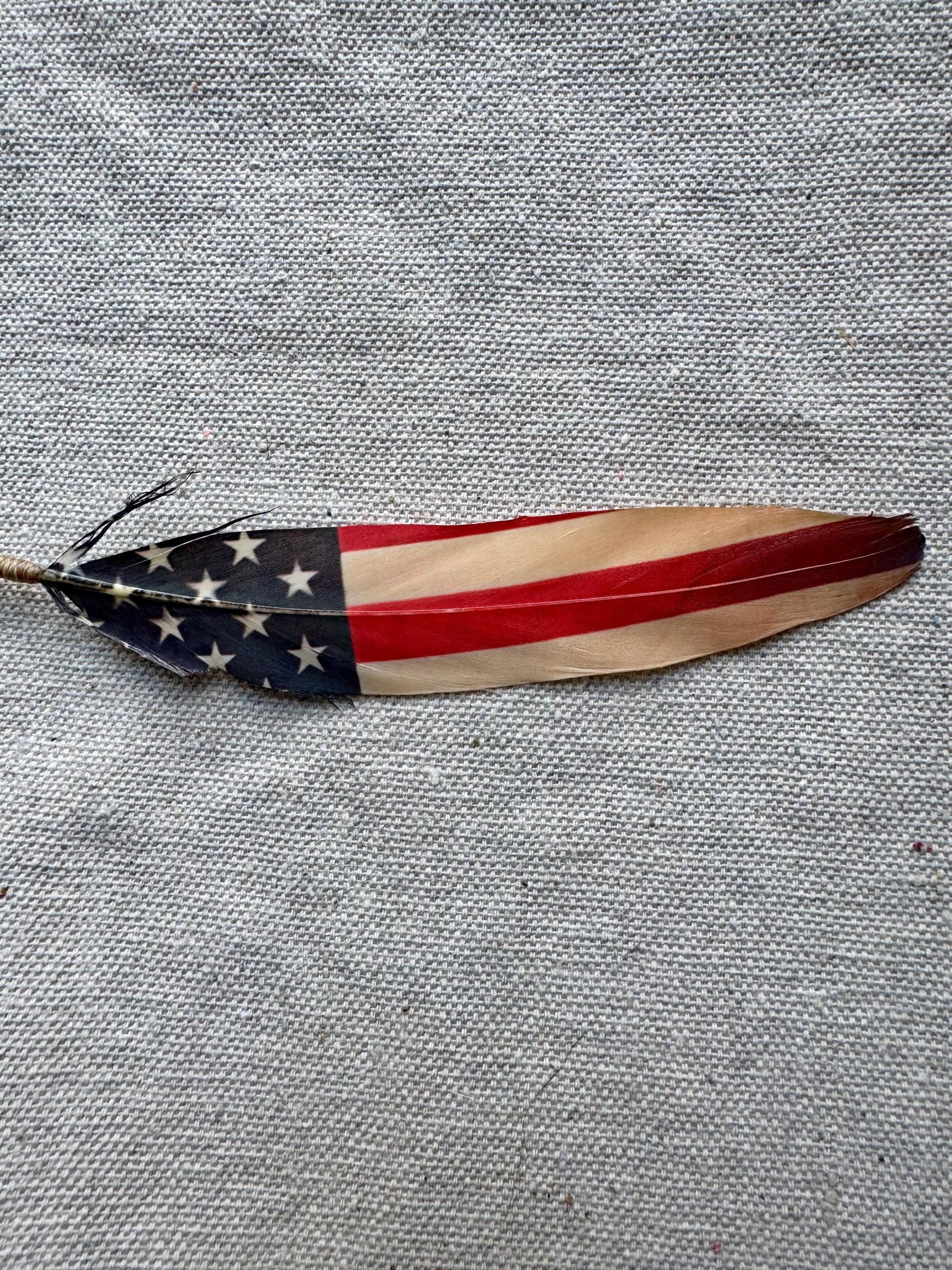 Feather with American flag design on a textured gray background