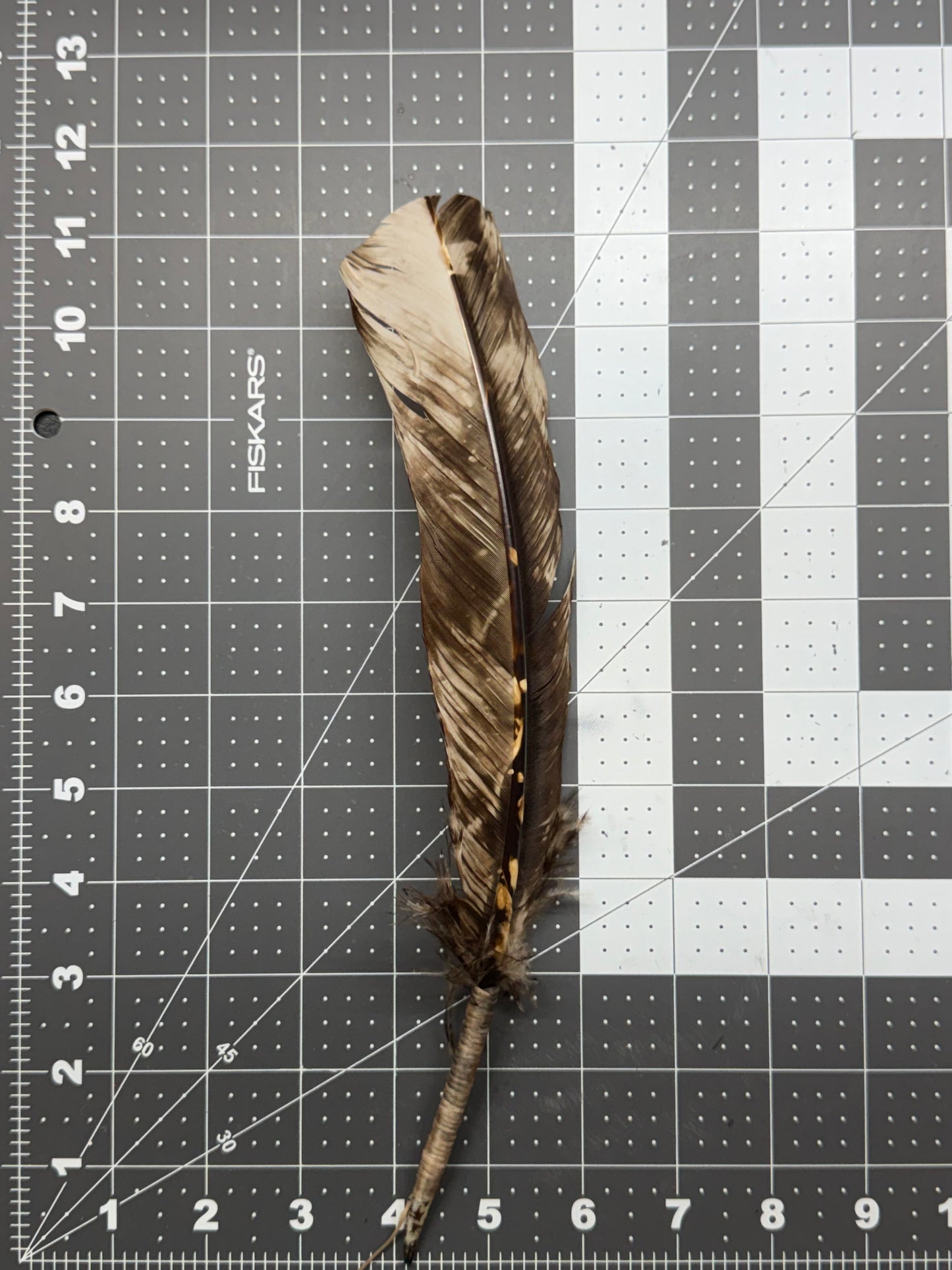 A single brown and beige feather laid on a gray measuring grid background with Fiskars branding visible.