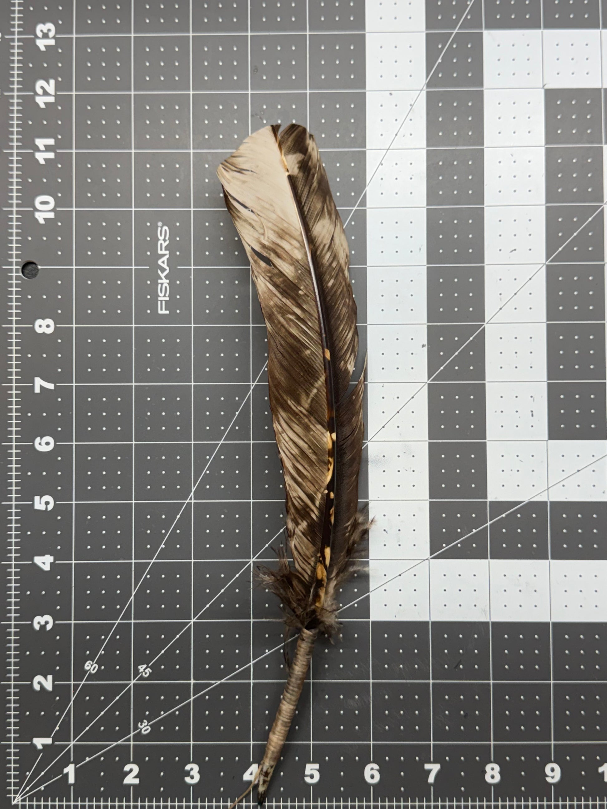 A single brown and beige feather laid on a gray measuring grid background with Fiskars branding visible.