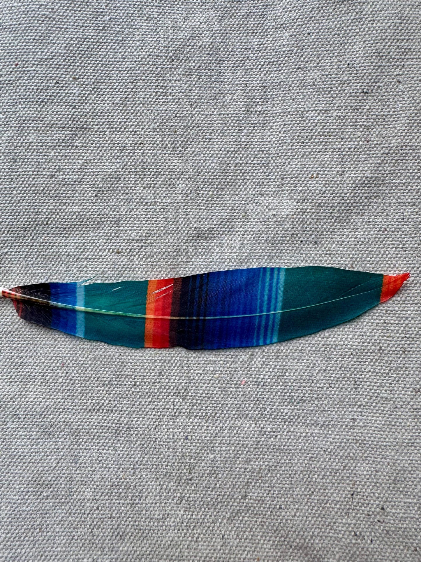 Serape Print Western Hat Feather