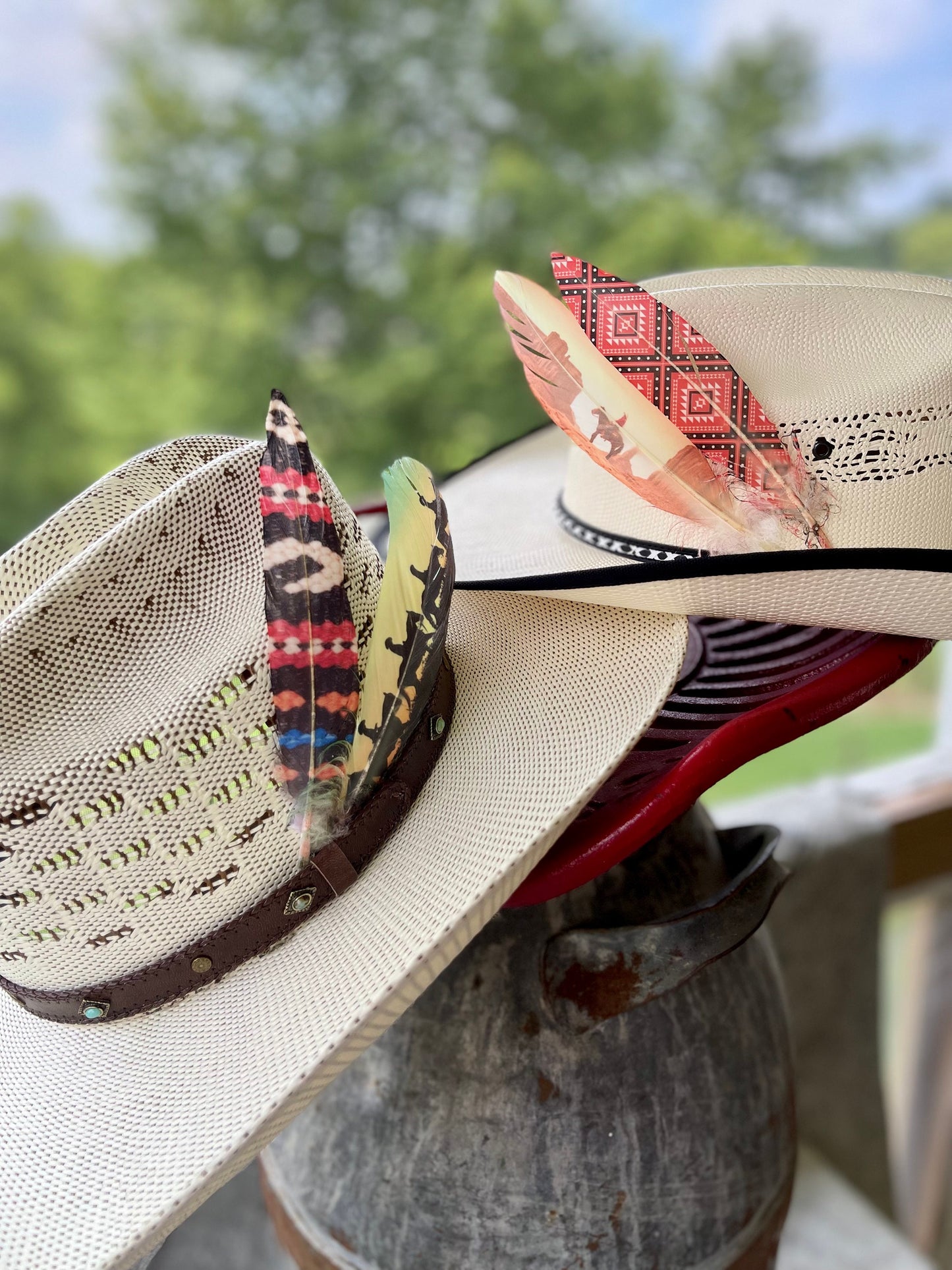 Desert Cowboy Hat Feather