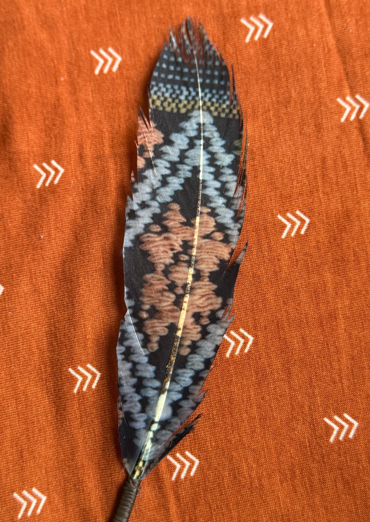 Feather on an orange fabric background with white arrow patterns