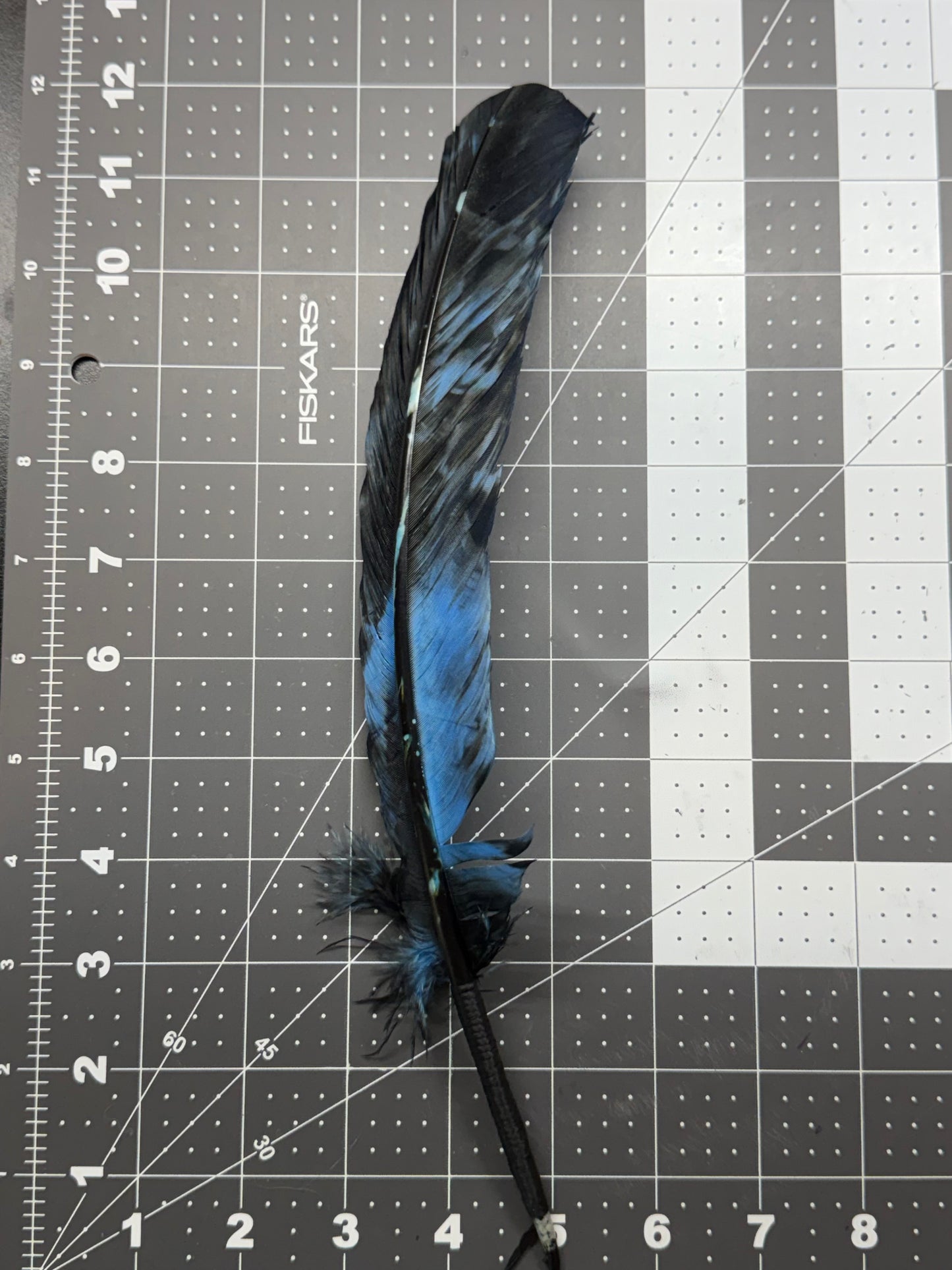 A single decorative feather with a black and blue pattern lies on a gray measuring grid background. The brand name 'Fiskars' is visible on the cutting mat.