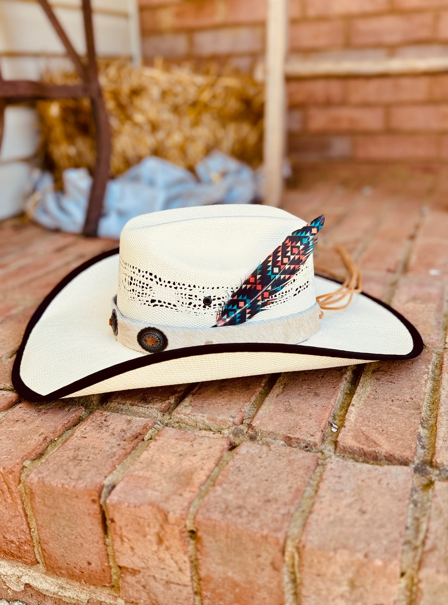Midnight Desert Hat feather