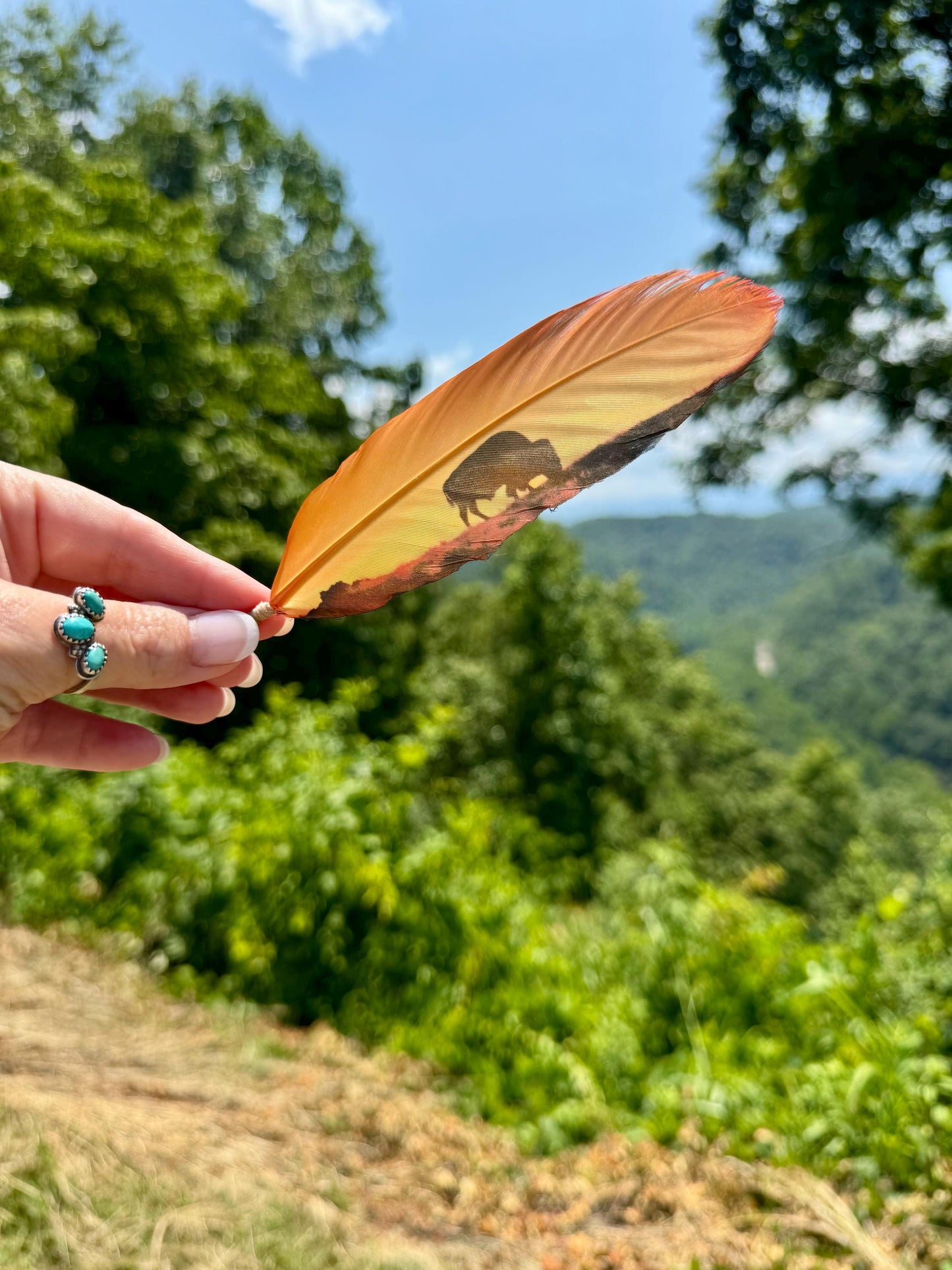 Buffalo Sunset Hat Feather