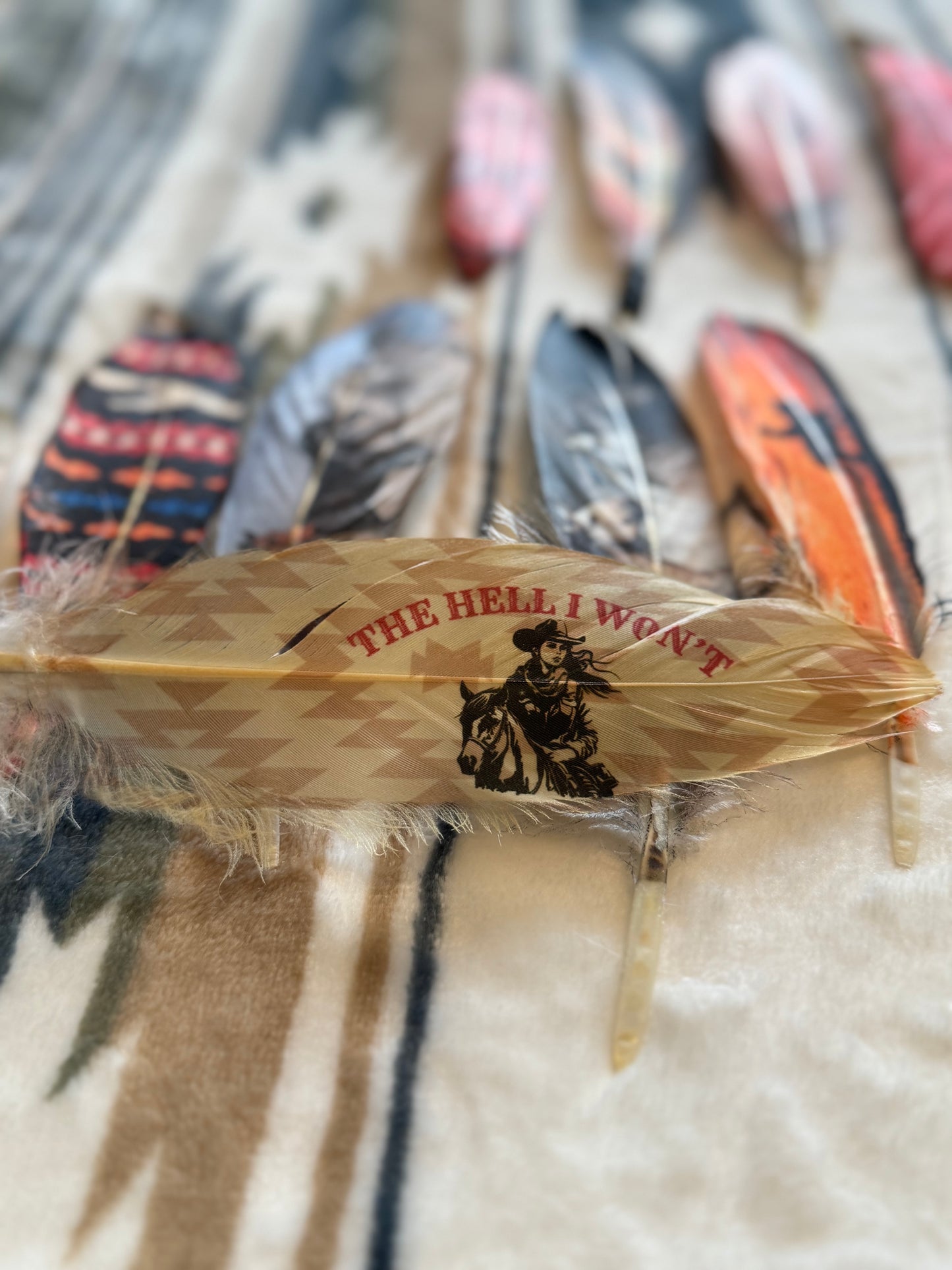 Decorative Buckaroo Supply Co. hat feather with text and a horse graphic on a textured background