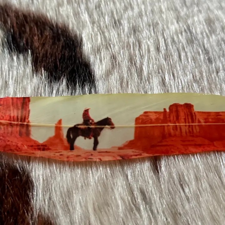 Desert Cowboy Hat Feather